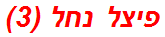 פיצל נחל (3)