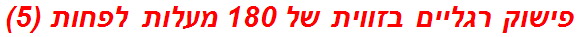 פישוק רגליים בזווית של 180 מעלות לפחות (5)