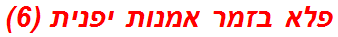 פלא בזמר אמנות יפנית (6)