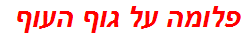 פלומה על גוף העוף