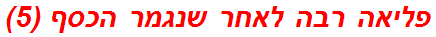 פליאה רבה לאחר שנגמר הכסף (5)