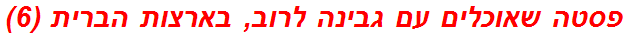 פסטה שאוכלים עם גבינה לרוב, בארצות הברית (6)