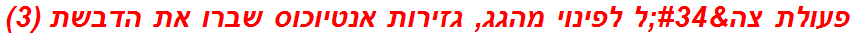 פעולת צה"ל לפינוי מהגג, גזירות אנטיוכוס שברו את הדבשת (3)