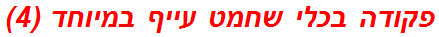 פקודה בכלי שחמט עייף במיוחד (4)