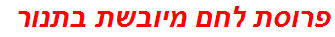 פרוסת לחם מיובשת בתנור