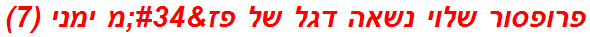 פרופסור שלוי נשאה דגל של פז"מ ימני (7)