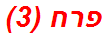 פרח (3)