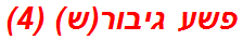 פשע גיבור(ש) (4)