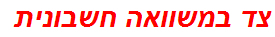 צד במשוואה חשבונית