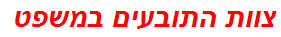 צוות התובעים במשפט