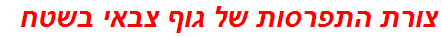 צורת התפרסות של גוף צבאי בשטח