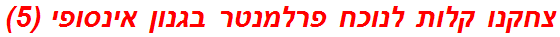 צחקנו קלות לנוכח פרלמנטר בגנון אינסופי (5)