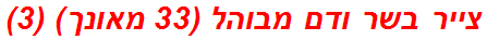 צייר בשר ודם מבוהל (33 מאונך) (3)