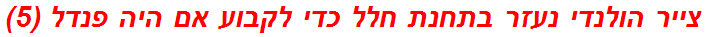 צייר הולנדי נעזר בתחנת חלל כדי לקבוע אם היה פנדל (5)