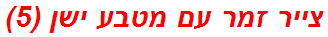 צייר זמר עם מטבע ישן (5)