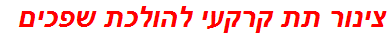 צינור תת קרקעי להולכת שפכים