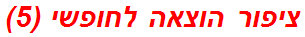 ציפור הוצאה לחופשי (5)