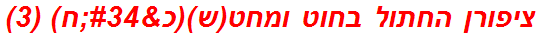 ציפורן החתול בחוט ומחט(ש)(כ"ח) (3)