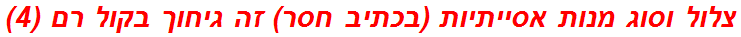 צלול וסוג מנות אסייתיות (בכתיב חסר) זה גיחוך בקול רם (4)