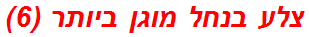 צלע בנחל מוגן ביותר (6)