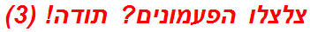 צלצלו הפעמונים? תודה! (3)