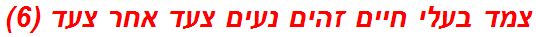 צמד בעלי חיים זהים נעים צעד אחר צעד (6)