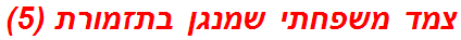 צמד משפחתי שמנגן בתזמורת (5)