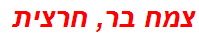 צמח בר, חרצית