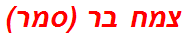 צמח בר (סמר)