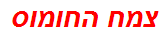 צמח החומוס