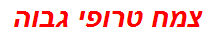 צמח טרופי גבוה