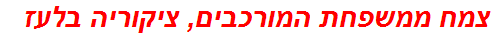 צמח ממשפחת המורכבים, ציקוריה בלעז