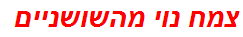 צמח נוי מהשושניים