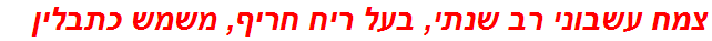 צמח עשבוני רב שנתי, בעל ריח חריף, משמש כתבלין