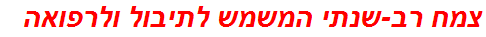 צמח רב-שנתי המשמש לתיבול ולרפואה