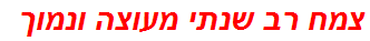 צמח רב שנתי מעוצה ונמוך