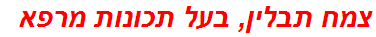 צמח תבלין, בעל תכונות מרפא