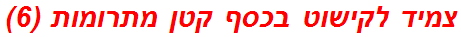 צמיד לקישוט בכסף קטן מתרומות (6)