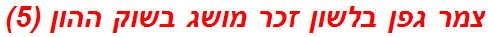 צמר גפן בלשון זכר מושג בשוק ההון (5)