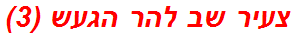 צעיר שב להר הגעש (3)