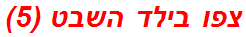 צפו בילד השבט (5)