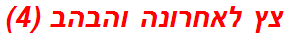 צץ לאחרונה והבהב (4)