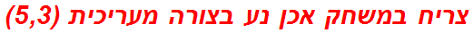 צריח במשחק אכן נע בצורה מעריכית (5,3)