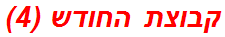 קבוצת החודש (4)