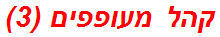 קהל מעופפים (3)