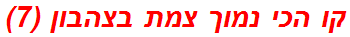 קו הכי נמוך צמת בצהבון (7)