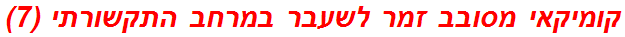 קומיקאי מסובב זמר לשעבר במרחב התקשורתי (7)