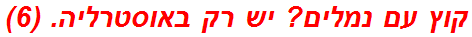 קוץ עם נמלים? יש רק באוסטרליה. (6)