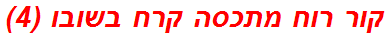 קור רוח מתכסה קרח בשובו (4)