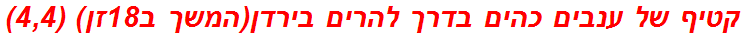 קטיף של ענבים כהים בדרך להרים בירדן(המשך ב18זן) (4,4)